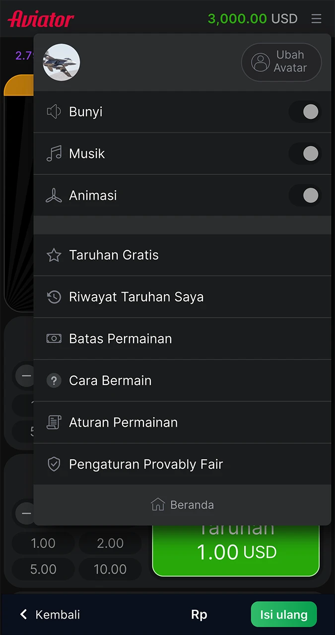Menu pengaturan utama dalam permainan Aviator dari 1win Casino.
